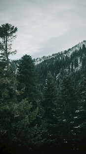 山林景色