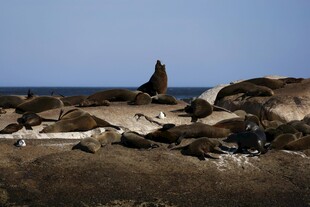 海边怪石与远处尖顶景物