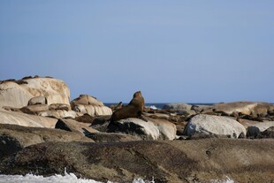 海边嶙峋岩石景观