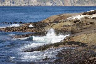 海边礁石上的浪花景象