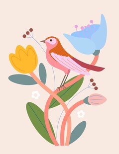 花鸟插画