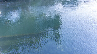 清澈水面倒映景象