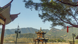 古亭山林间 景致清幽