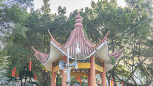 中式凉亭立于葱郁林间