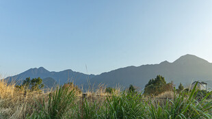 山间草  远眺连绵山脉