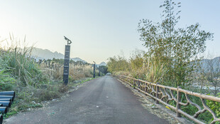 郊外宁静小路风景