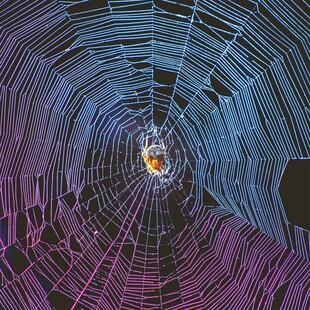 梦幻蛛网隧道视觉效果