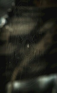 模糊的深色纹理场景