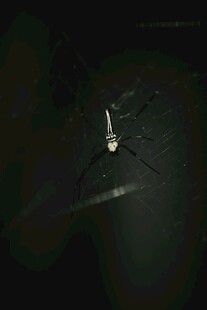 黑暗中的孤独小船