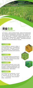 绿色农业展架