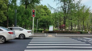 城市道路旁的交通场景