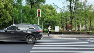 汽车于斑马线前礼让行人