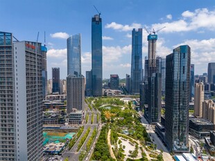 城市天际线与绿色景观