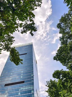 摩天大楼与葱郁绿树相映