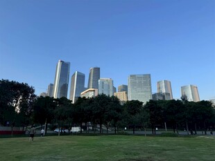 城市绿地与高楼景观