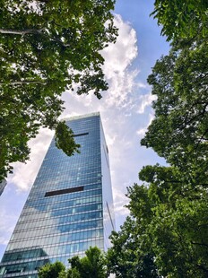 摩天大楼与葱郁绿树相映