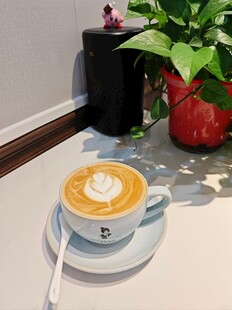 精致拉花咖啡置于室内一角