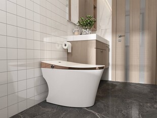 现代简约风格智能卫浴空间