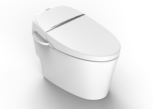 智能白色马桶