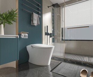 现代简约风优雅浴室一角