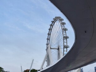 城市中的摩天轮与桥梁