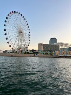 海滨摩天轮与城市景观