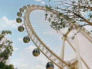 摩天轮城市中的浪漫地标