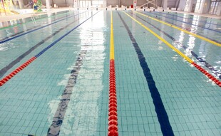 室内标准游泳池场景