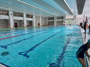 室内游泳池场景