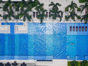 蓝色泳池旁的绿植景观