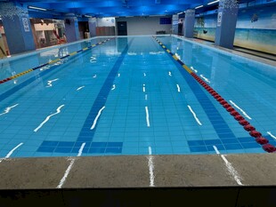 室内标准游泳池场景