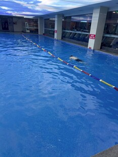 室内蓝色泳池景象