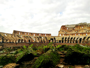罗马斗兽场遗址景观