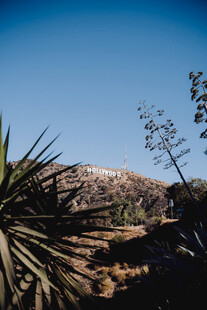 沙漠中的绿植与远山景观