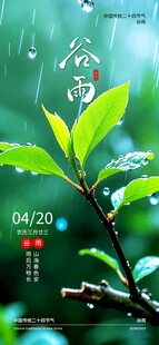 谷雨时节嫩绿枝叶景象