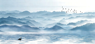 海浪翻涌间飞鸟翱翔