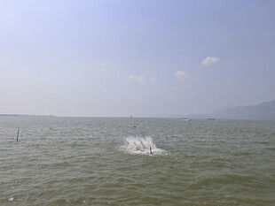 湖面水花飞溅的自然景象