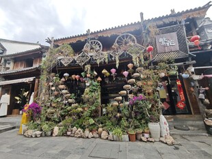 古宅前的绿植花卉景观