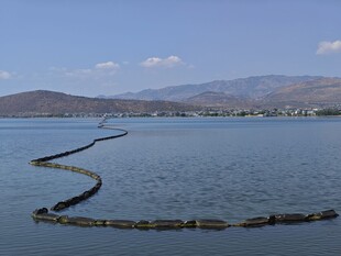 水上漂浮物蜿蜒于湖面