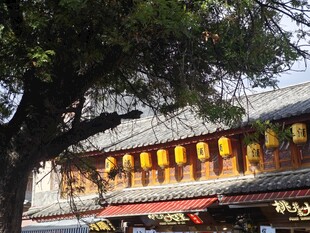 中式古建筑屋檐景象