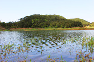 宁静湖畔的自然美景