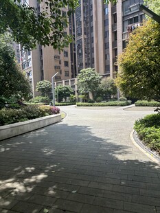 小区内的林荫步道景观