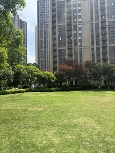 城市中绿意盎然的草坪景观