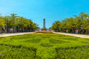 城市中的规整绿植景观