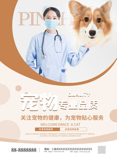 原创简约风宠物商店海报