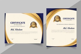 精美个人证书模板展示