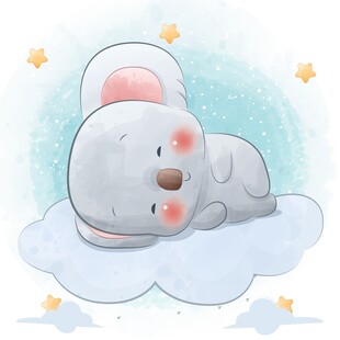 云朵上的萌睡小鲸鱼