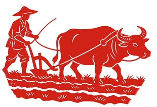 秋分农民丰收节农民牛耕田矢量设