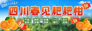 耙耙柑
