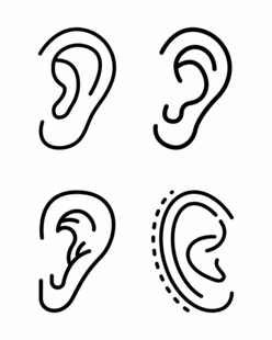 耳朵图标
